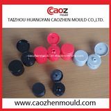 Plastic Injection Flap/Flip Type Cap Mould