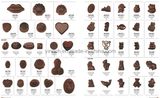 Customized Chocolate Mould, Chocolate Mold (6)