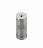 Hot Sale Tungsten Carbide Cold Heading Dies for Bolts (BTP-P019)