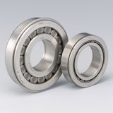 New Style Double Row Cylindrical Roller Bearings