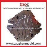 Hot Selling/ Plastic Injection Hanger Mould