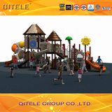 Kids Outdoor Playground Equipment for School and Amusement Park (2014CL-16701)