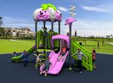 Disneyland Serie Outdoor Playground Park Amusement Equipment HD15A-050A