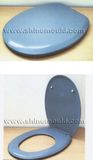 Plastic Toilet Cover Mold