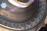 Tire Mould