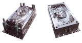 Mould - 1