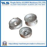 High Pressure Die Cast Die Casting Mold /Sw021/Castings