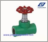 PPR Global Valve Pipe Fitting Mold