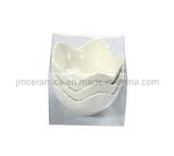 Chaoan J and M Ceramic Industrial Co., Ltd.