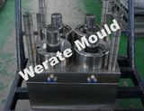 Thin Wall Mould (WE0729)