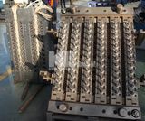 Pet Preform Mould