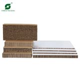 Shanghai Forest Packing Co., Ltd.