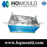 Plastic Injection Mould/Auto Part Mould