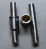 Bush and Pin