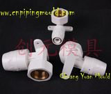 PPSU Pipe Fitting Mould