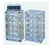 Plastic Cap/Closure Multi Cavity Mould