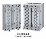 12 Cavity Preform Mould