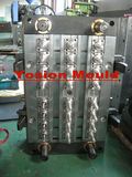 Pet Preform Mold