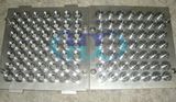 Rubber Mould (TC, SC, TB, SB and so on)