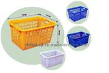 Plastic Bucket Mould