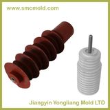 SMC Mold for Electrical Insulating Part