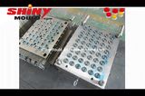 48 Cavity Plastic Cap Mould