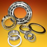 Extra Large Cylindrical Roller Bearings