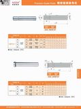 Precision Guide Post for Die Mould (XZF13)