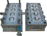 Plastic Injection Mould/ Die Casting Mould/ Auto Parts Mold