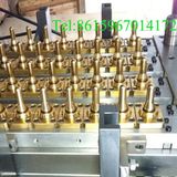 Taizhou Huangyan Pet Preform Mould