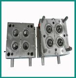 Plastic Parts Mould (xdd225)