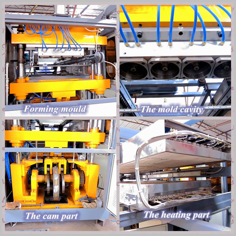 Hongyin Manufacture Plastic Cup Thermoforming Machine